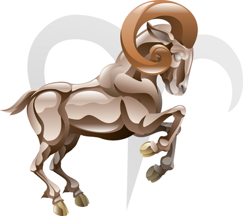 aries_norra_cypern_magasinet_starsign_stjarntecken