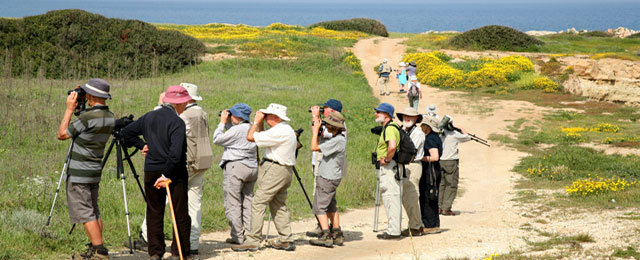 bird_watching_north_cyprus_norra_cypern_magasinet