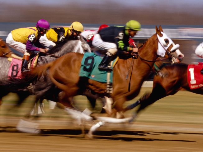 north-cyprus-race-horses