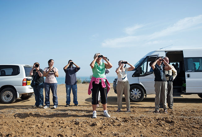 north-cyprus-bird-watching-in-larnaca