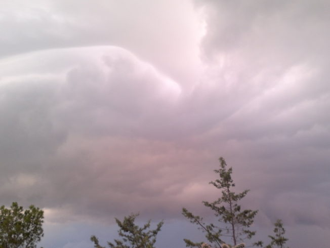 north-cyprus-clouds-tree-tops