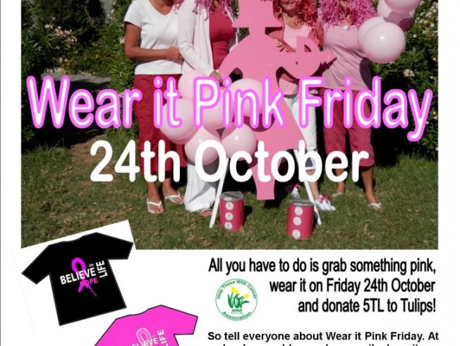 north-cyprus-wear-it-pink-friday-2014-poster