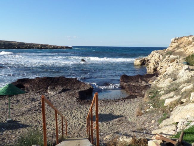 north-cyprus-by-the-sea-sea-weed-waves