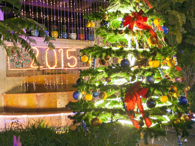 north-cyprus-christmas-tree-lights