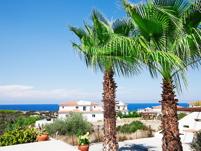 north-cyprus-palm-garden-ocean