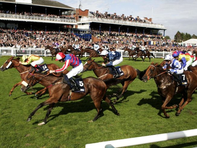 race-course-horses-north-cyprus