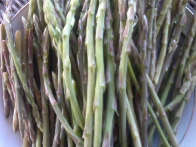 north-cyprus-asparagus-recipe-freshly-picked