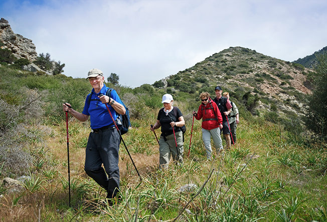 north-cyprus-orchid-walk-2