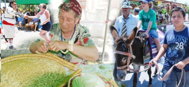 eco-tourism-donkey-day-karpaz-north-cyprus