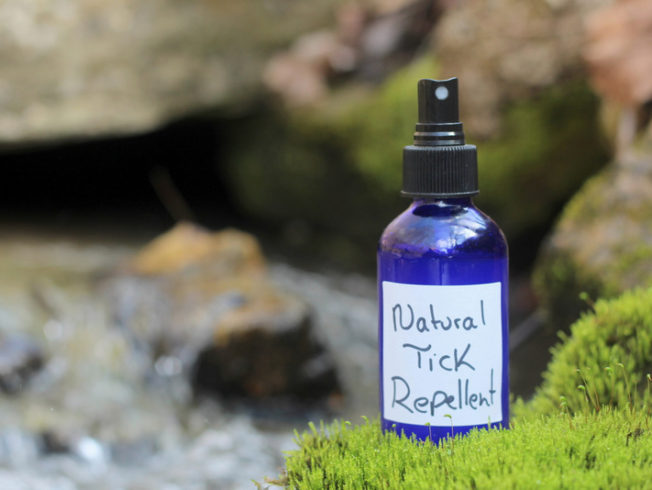 tick-repellent-recipe-essential-oils