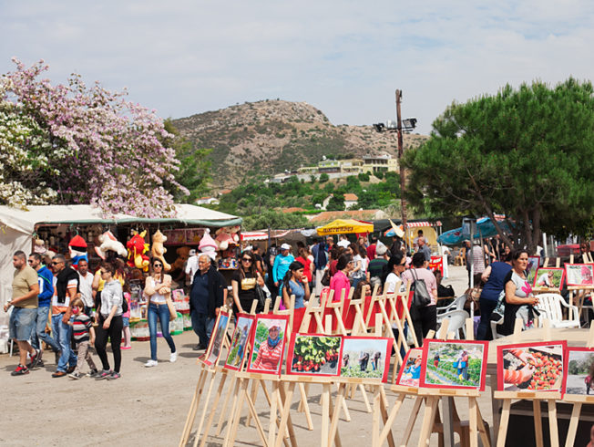 north-cyprus-strawberry-festival-yesilirmak