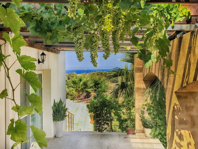 house-villa-catalkoy-grape-vines-view