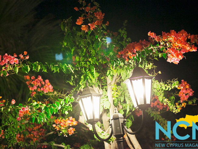 north-cyprus-2015-night-flowers