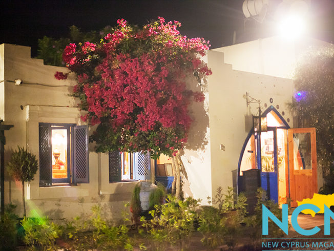 north-cyprus-2015-the-fez-restaurant-bar