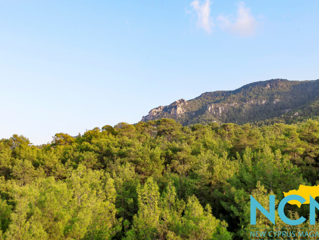 north-cyprus-nature-greenary-woods