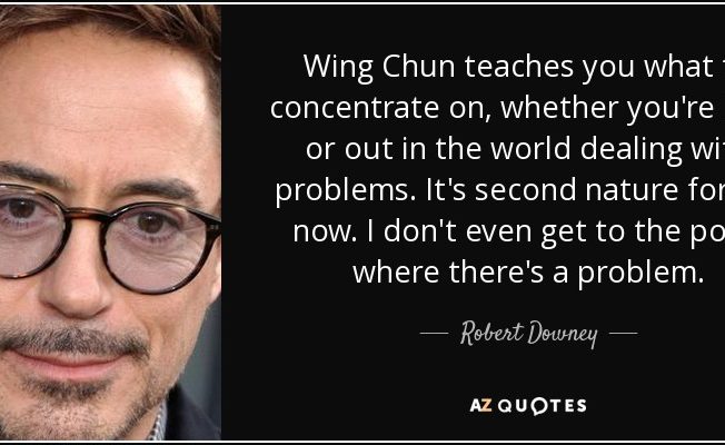 Robert Downey Jr wing chun