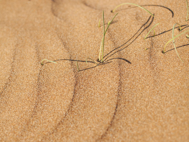 Sand in Cyprus