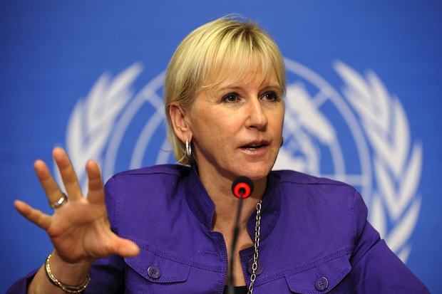 Swedish FM: Reunification efforts should continue