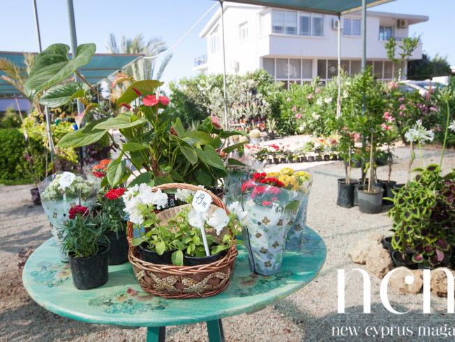 Garden of Eden - Garden centre Catalkoy