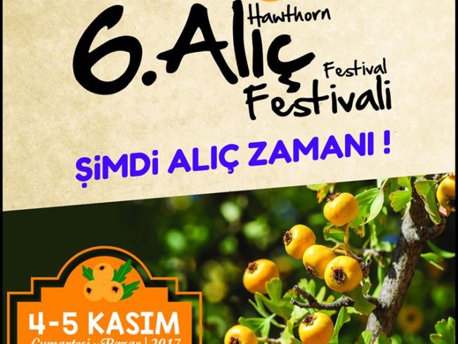 Hawthorn Festival Doganköy 2017